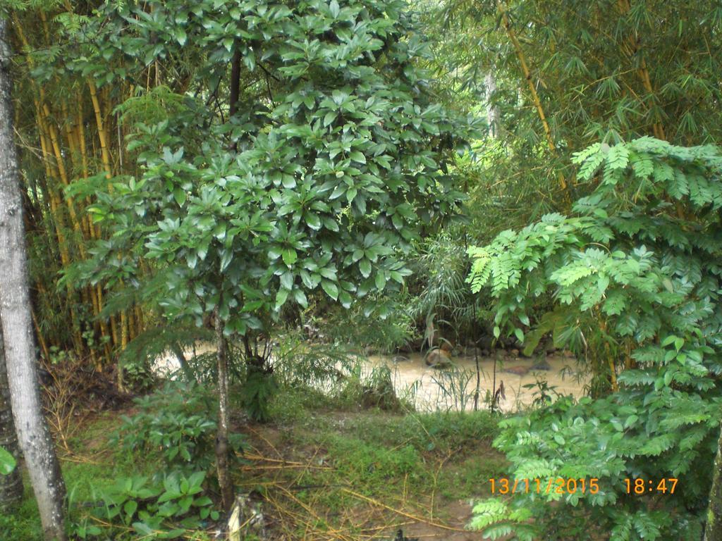 Ask Homestay Ella Exterior foto